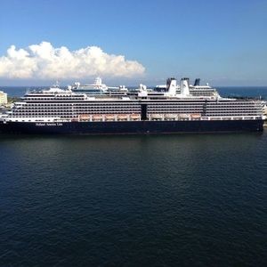 Meet your Posher, Dawn